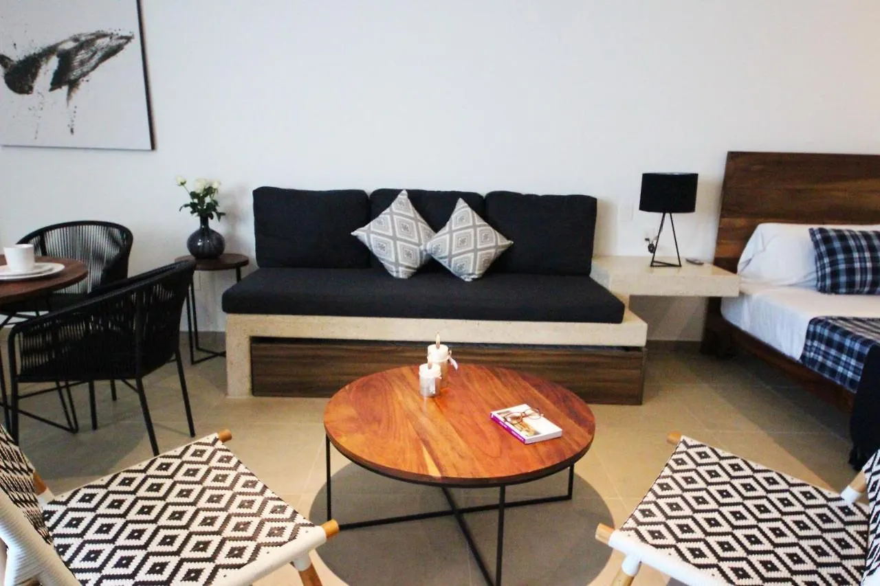 Spacious Studio, Amazing Rooftop With Sea View Playa del Carmen 0*,  Mexico